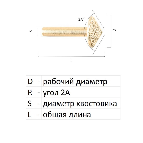 DMV60860_6