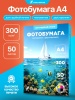 2A4-300-50_1