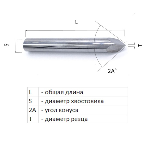 NJ3.1002_3