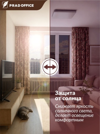SUN-04_2