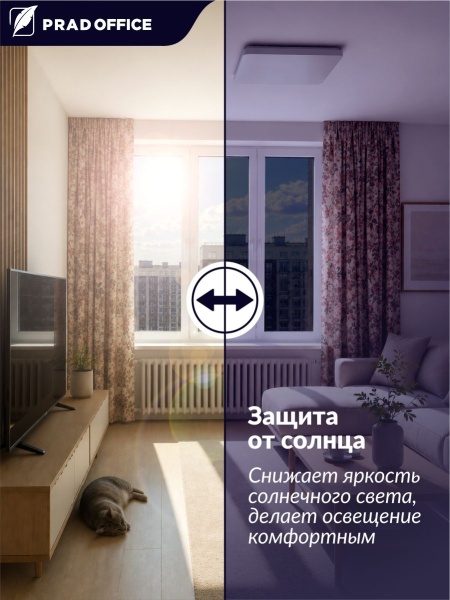 SUN-05_2