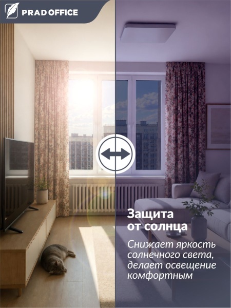 SUN-06_2