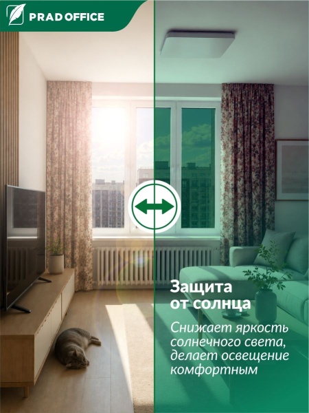 SUN-03_2