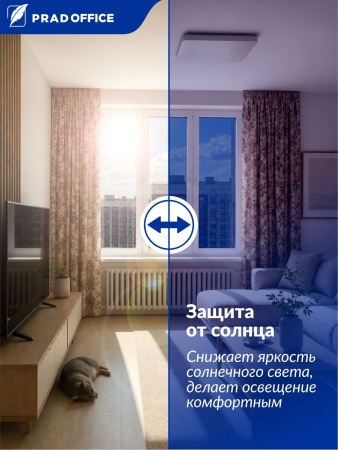 SUN-02_2